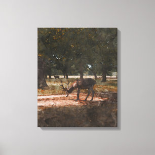 Deer Canvas Print