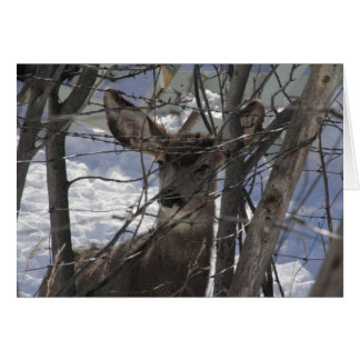 Deer card