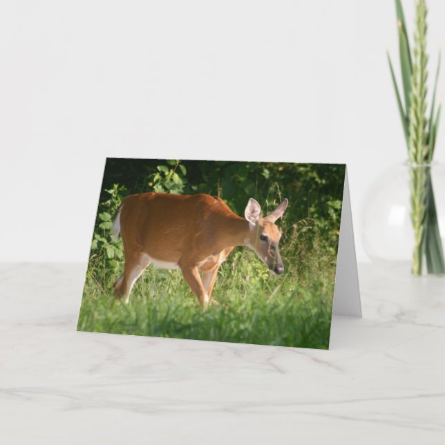 Deer Card (Front)