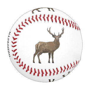 Deer cartoon illustration baseball