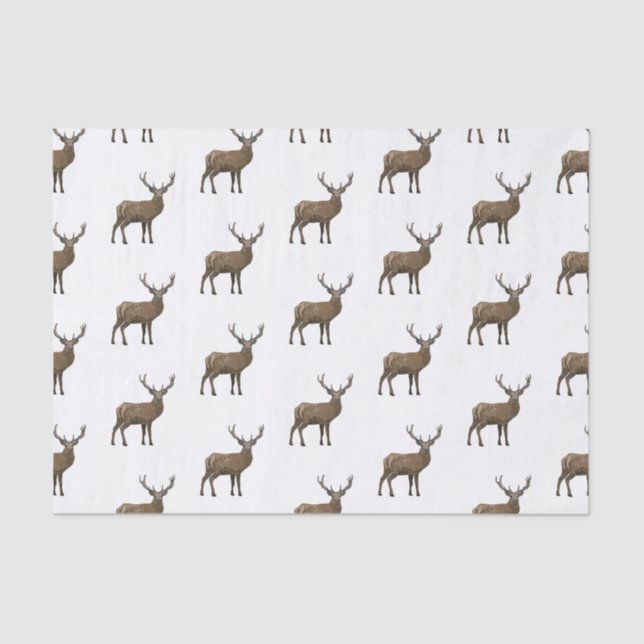 Deer cartoon illustration tissue paper (Front)