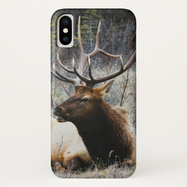 Deer Case-Mate iPhone Case (Back)