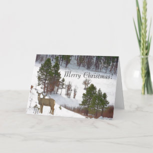 Deer Christmas Card