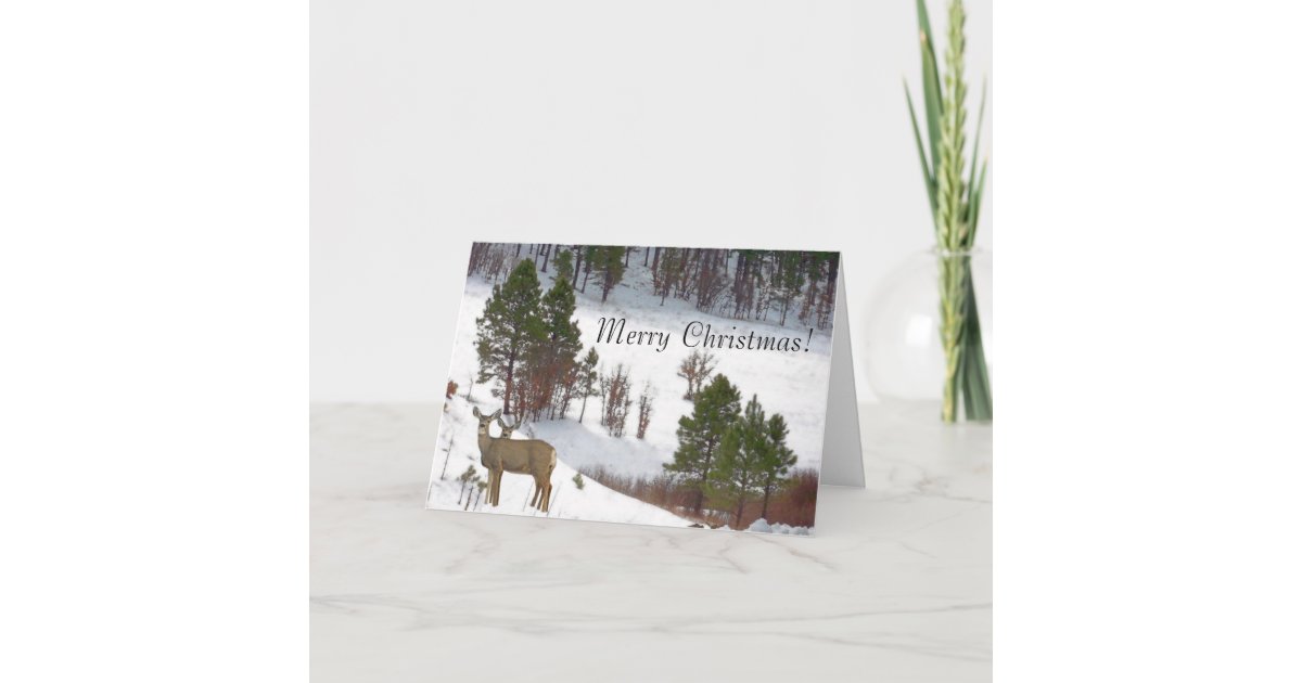 Deer Christmas Card | Zazzle
