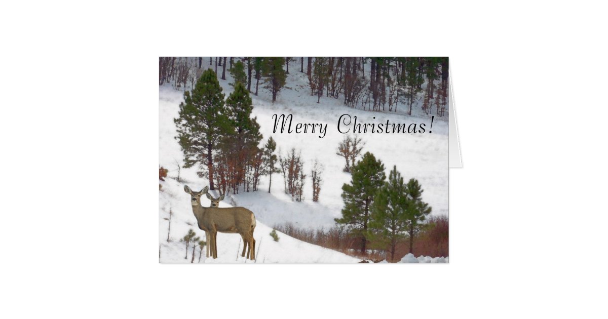 Deer Christmas Card | Zazzle.co.uk