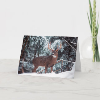 Deer Christmas Card