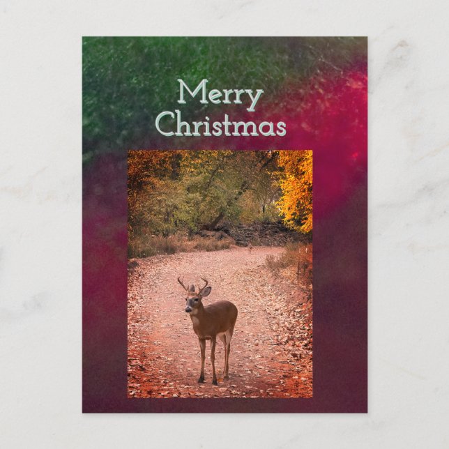 Deer Christmas Postcard (Front)
