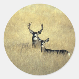 Deer Classic Round Sticker