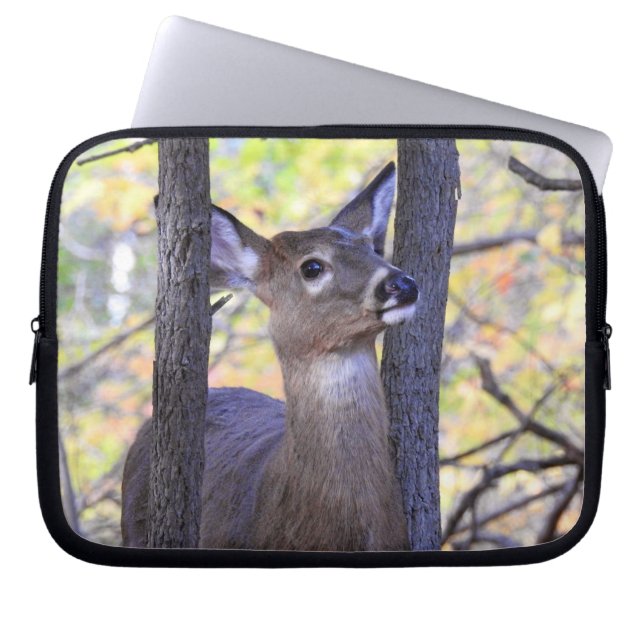 Deer Close-Up  Laptop Sleeve (Front)