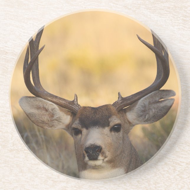 deer coaster (Front)