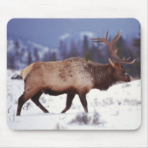Deer Country Mouse Mat