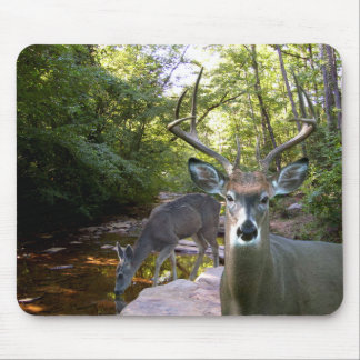 Deer Creek Mousepad 01
