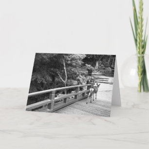 Deer crossing Japanese bridge on Miyajima Card