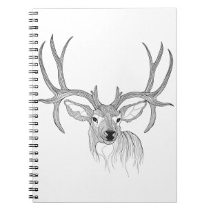 deer,deer hunting,mule deer,baby deer,white tail notebook