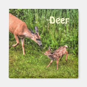 Deer Doe & Fawn Wildlife Animal Design Magnet