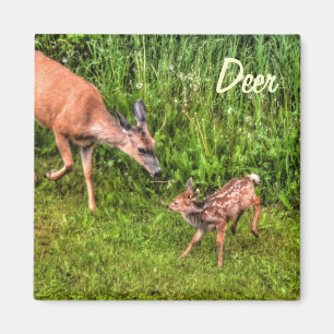 Deer Doe & Fawn Wildlife Animal Design Magnet