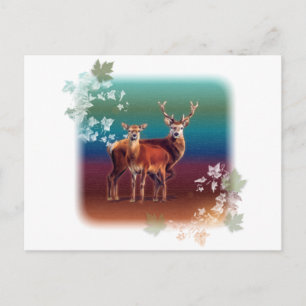 Deer Duo Postcard