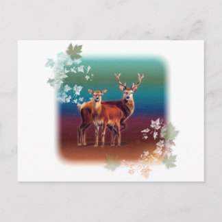 Deer Duo Postcard