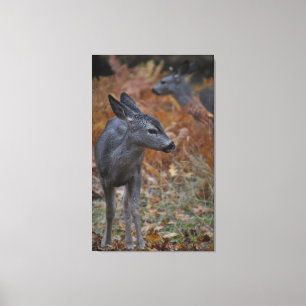 Deer Family- baby Canvas Print