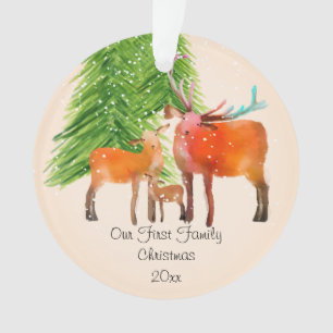 Deer Family First Christmas Acrylic Decoration