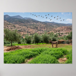 Deer Family Grazing at Sunset with Birds - Peacefu Poster