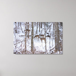 Deer Family In Snow Canvas Print