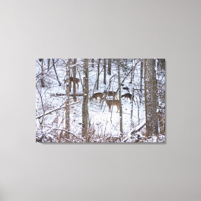 Deer Family In Snow Canvas Print (Front)