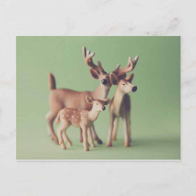 Deer Family Postcard (Front)