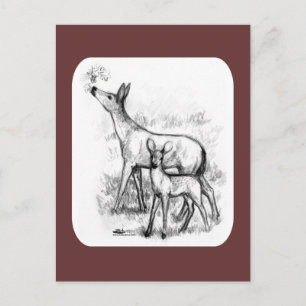 Deer Family Postcard