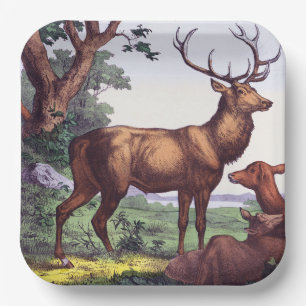 Deer Family Vintage Birthday Party  Paper Plate