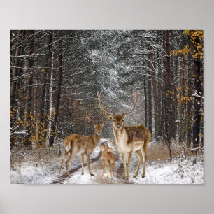 Deer Family Watercolor Decoupage Print