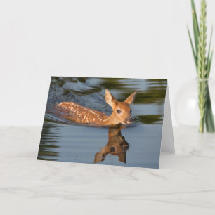 Deer Fawn   Minnesota Card