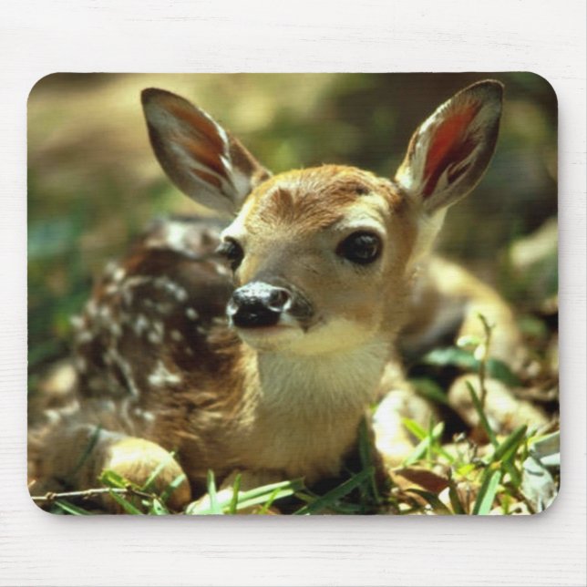 Deer Fawn  Mouse Mat (Front)