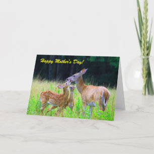 Deer Fawns Nursing, Happy Mother's Day! Card