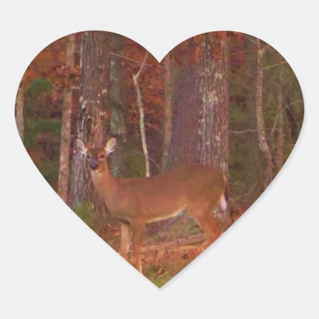 Deer , Green Grass red and Gold leaves Heart Sticker (Front)