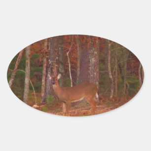 Deer , Green Grass red and Gold leaves Oval Sticker