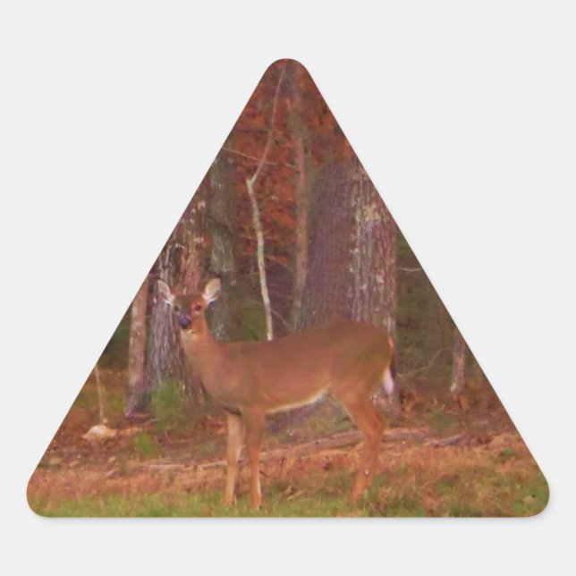 Deer , Green Grass red and Gold leaves Triangle Sticker (Front)
