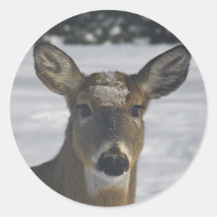 Deer Head Classic Round Sticker