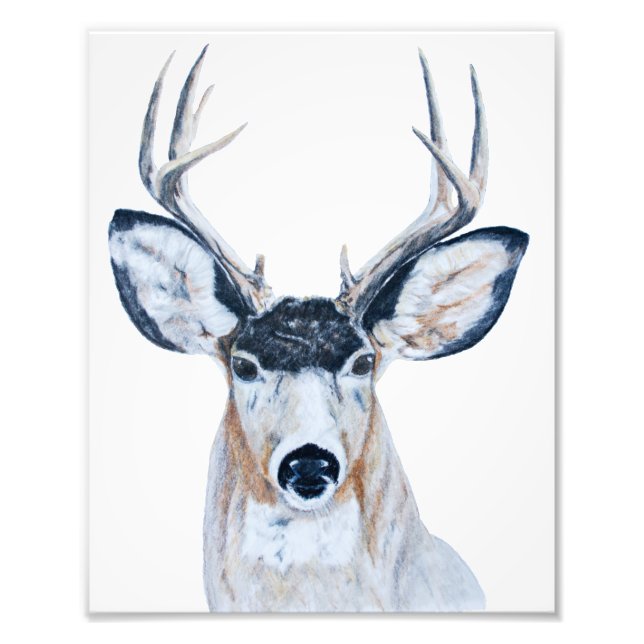 Deer Head in Pencil Photo Print (Front)