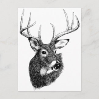 deer headgif postcard