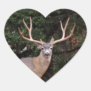 Deer Heart Sticker