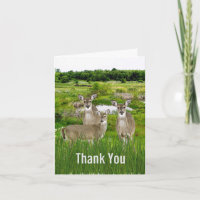 Deer Herd Wildlife/Nature Design for Him