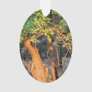 Deer Hiding Behind Trees Ornament