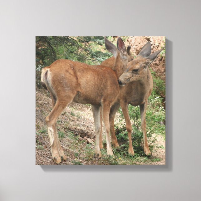 Deer Hugging Canvas Print (Front)