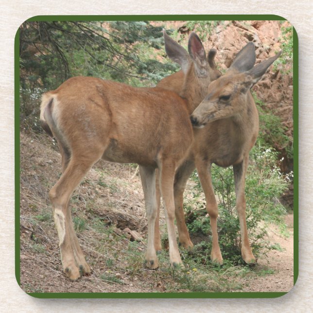 Deer Hugging Coaster (Front)