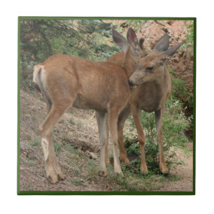 Deer Hugging Tile