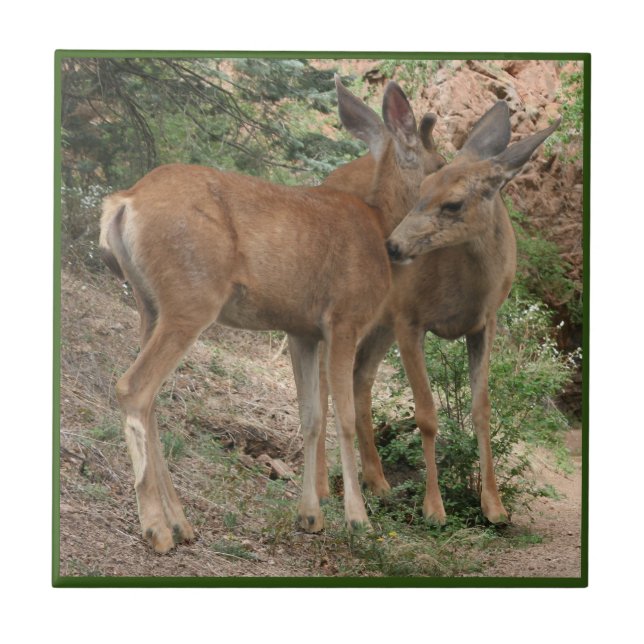 Deer Hugging Tile (Front)