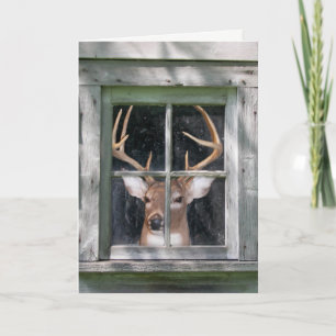 Deer Hunter's birthday Card