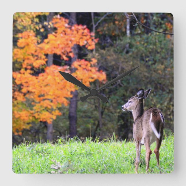 Deer In an Autumn Field II Square Wall Clock (Front)