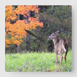 Deer In an Autumn Field Square Wall Clock
